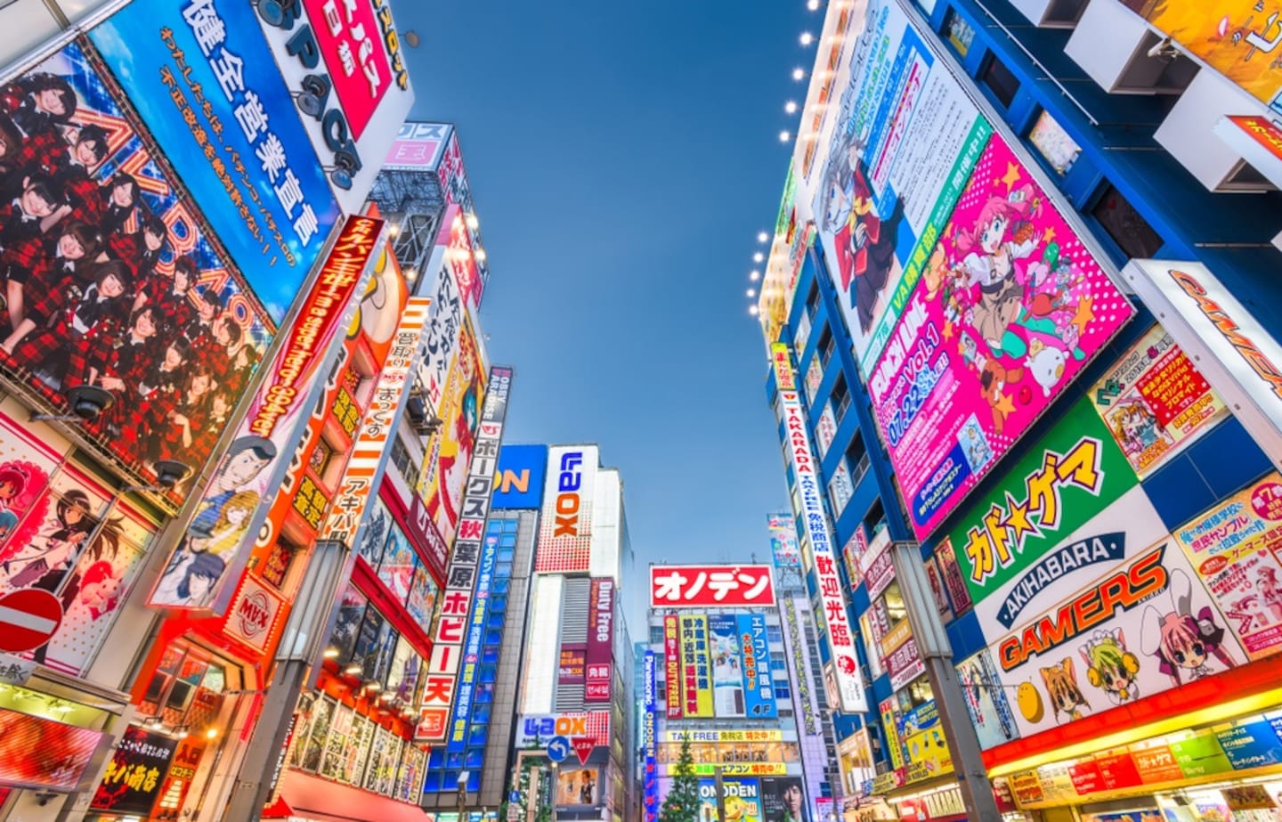 Step Inside One of Akihabara's Weirdest Shops