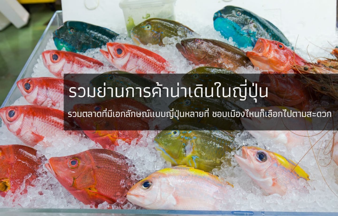 รวมตลาดน่าเดินในญี่ปุ่น