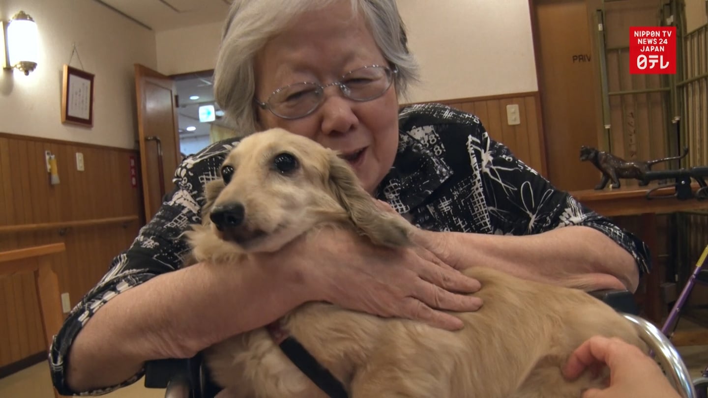 Rescue Dogs Brighten Up Nursing Home