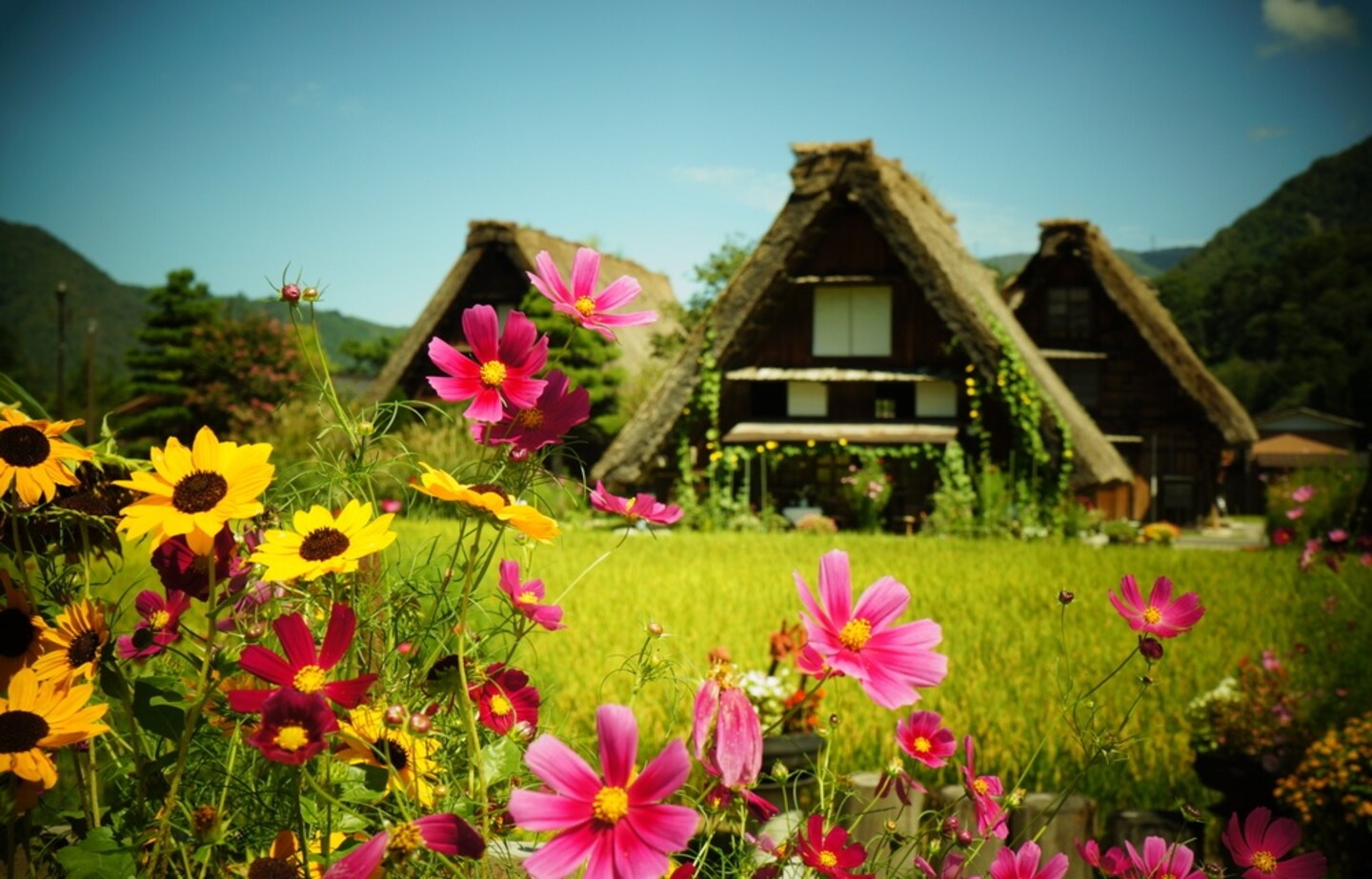 【日本自由行】2019年外國旅客點評人氣日本景點TOP30