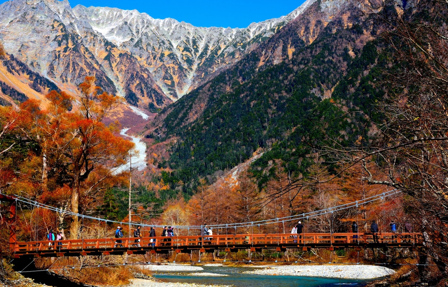 【期間限定】要的就是這類絕景！秋天赴日必訪紅葉銀杏景點推薦