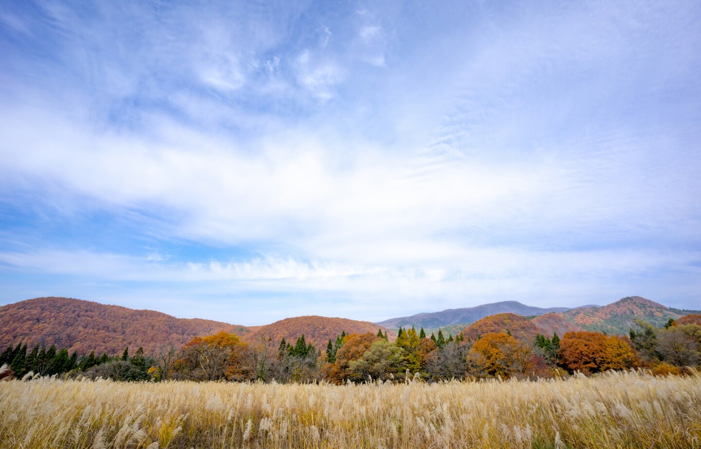 【東北自由行】秋田秋意濃！秋天賞楓泡湯住宿推薦