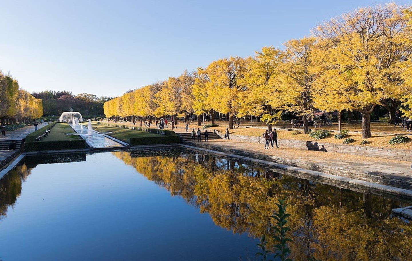 Top 10 Autumn Leaves Spots in Tokyo