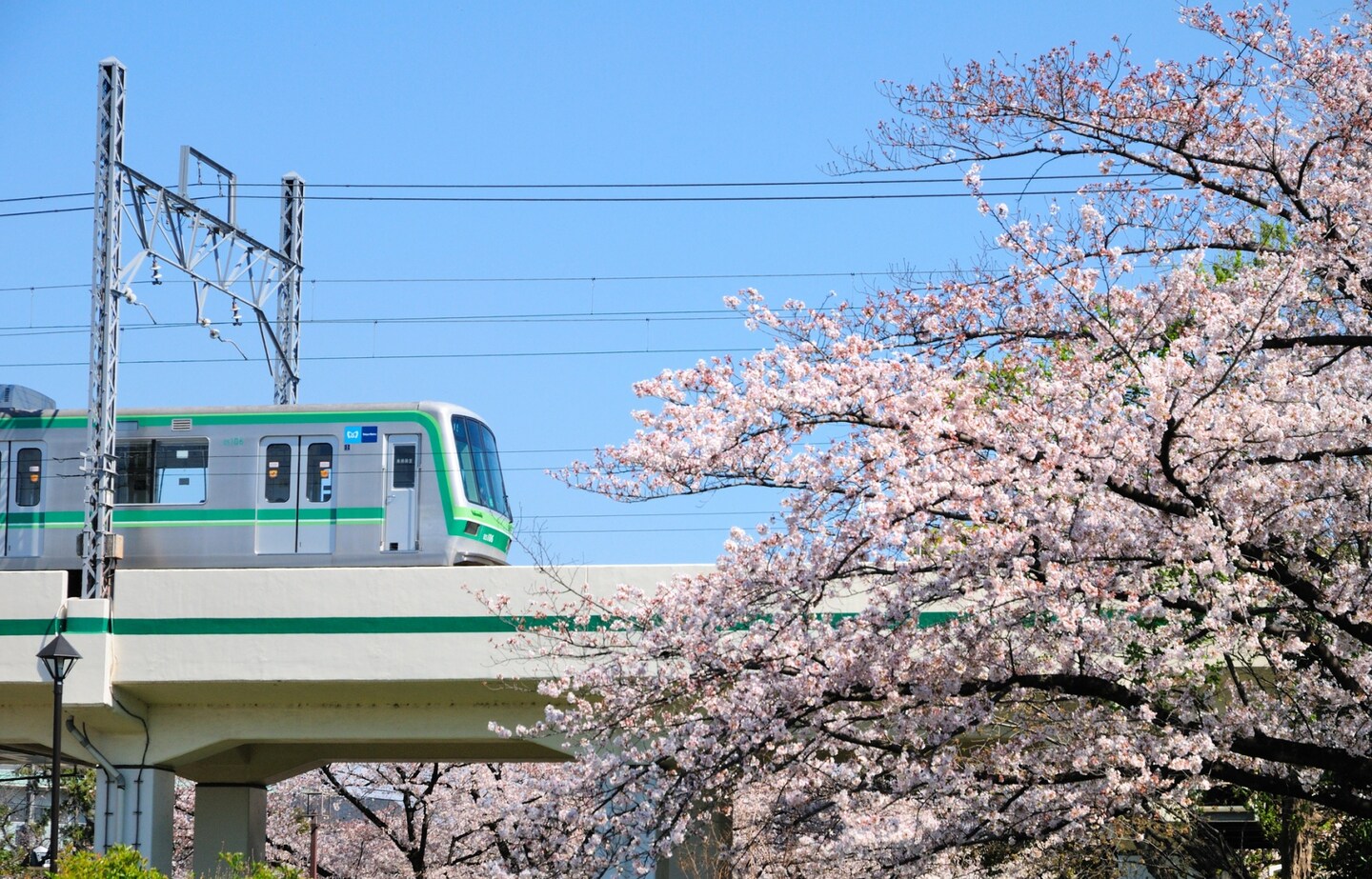 ลุยที่เที่ยวติดรถไฟ Tokyo Metro Chiyoda Line