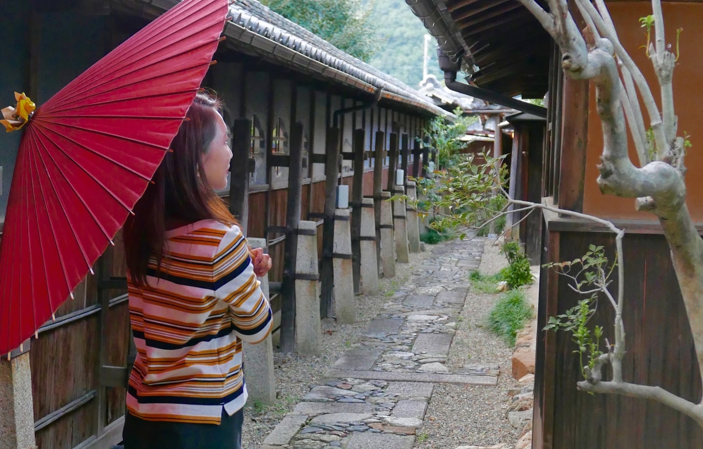 【日本岐阜】住進90年歷史紙商豪邸 精品古民家展現和紙古韻風範