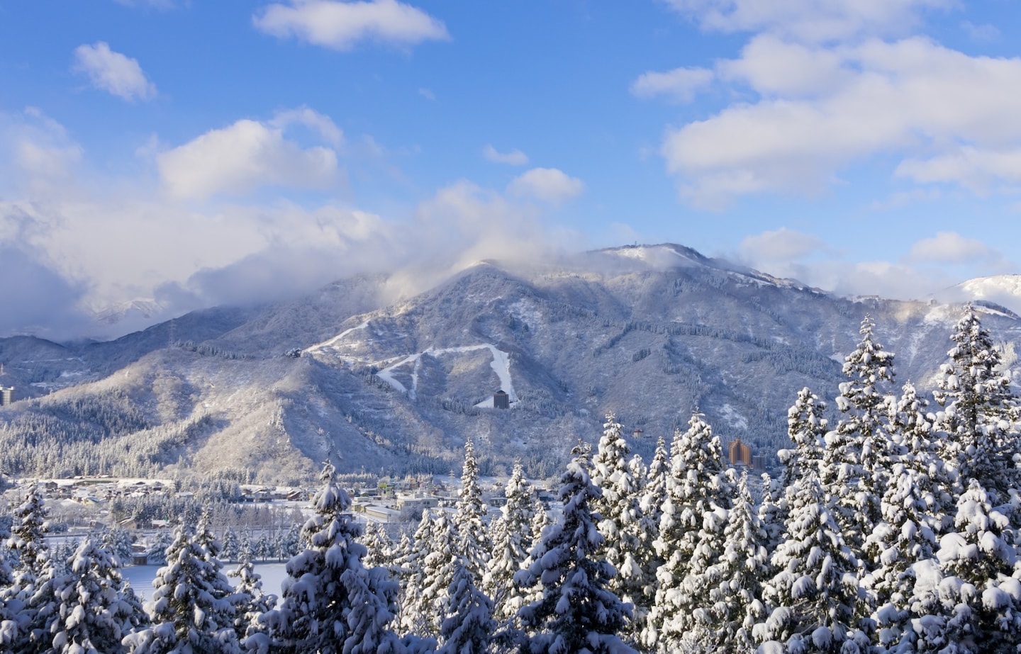 【新潟】探訪川端康成《雪國》中的美景