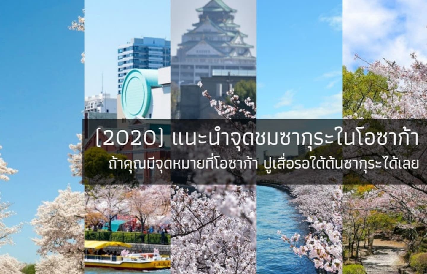 (2020) แนะนำจุดชมซากุระในโอซาก้า