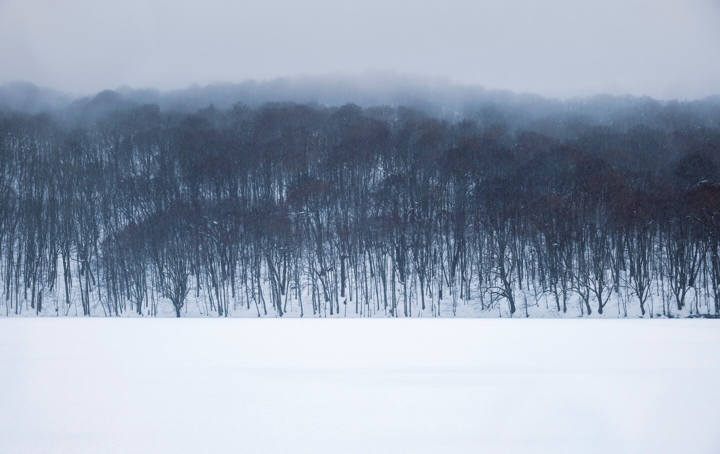 Retreat to Towada-Hachimantai National Park