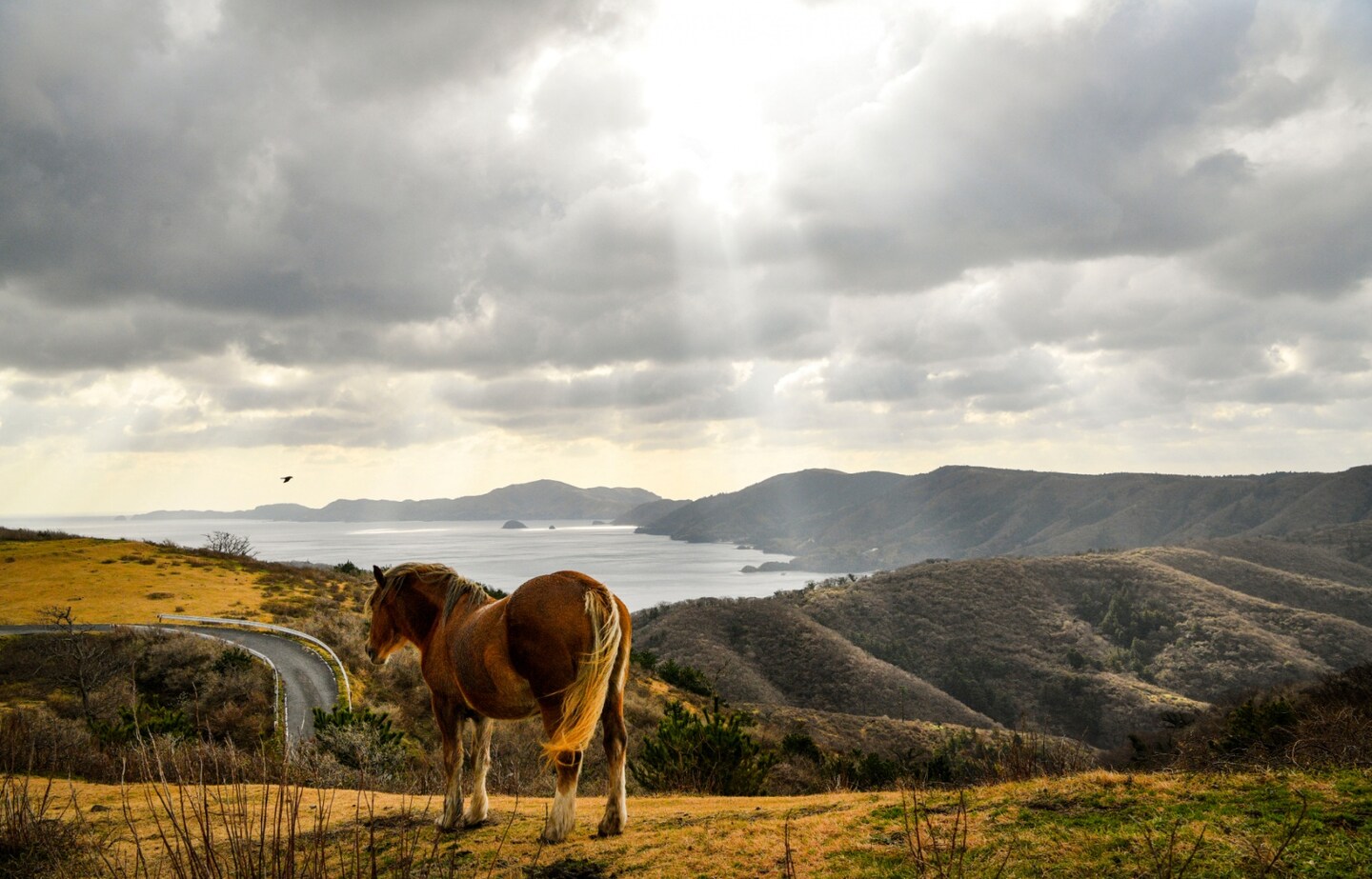 Volcanoes, Islands, and Ancient Culture