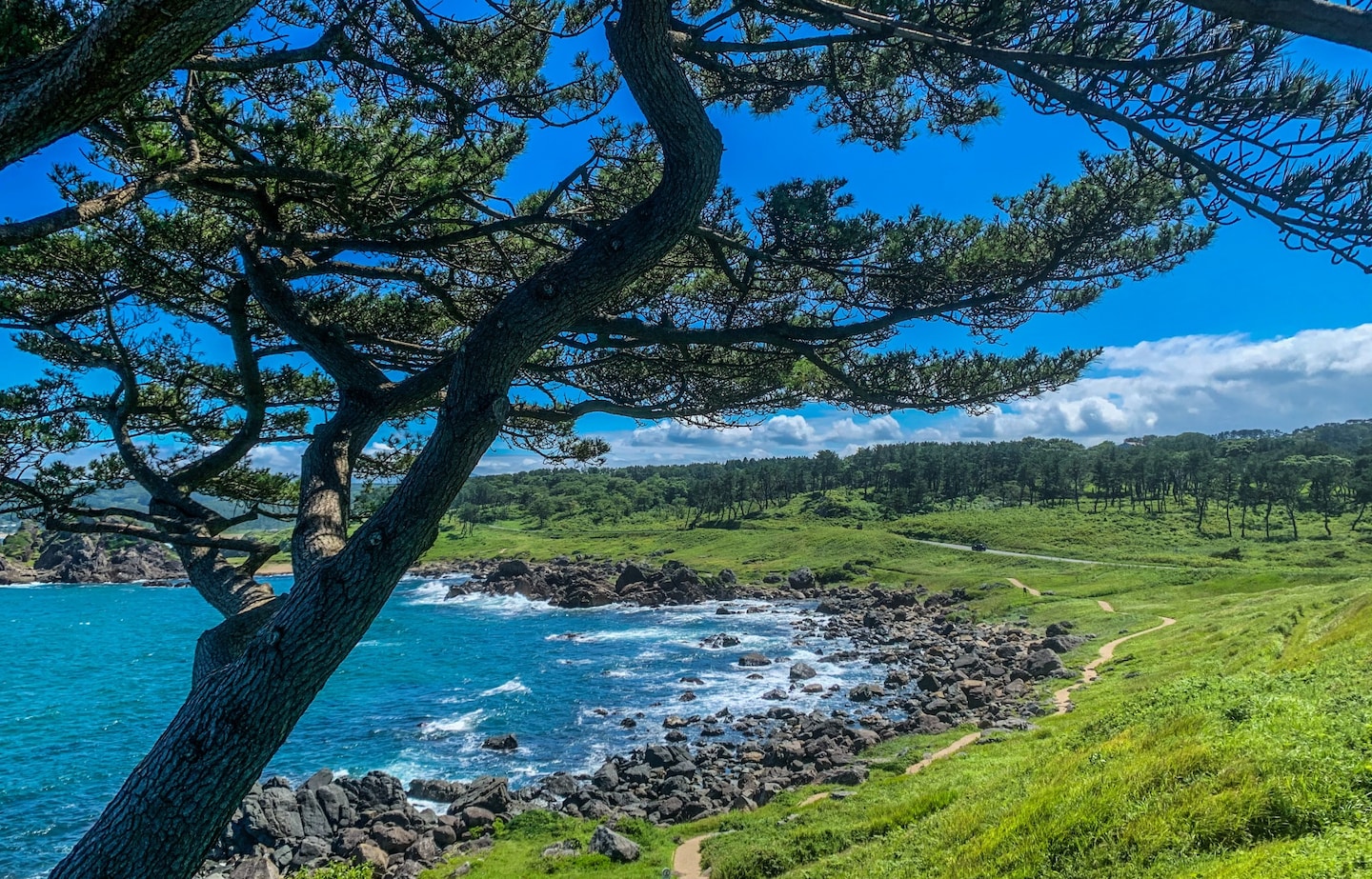 Walk Tohoku's Historic Michinoku Coastal Trail