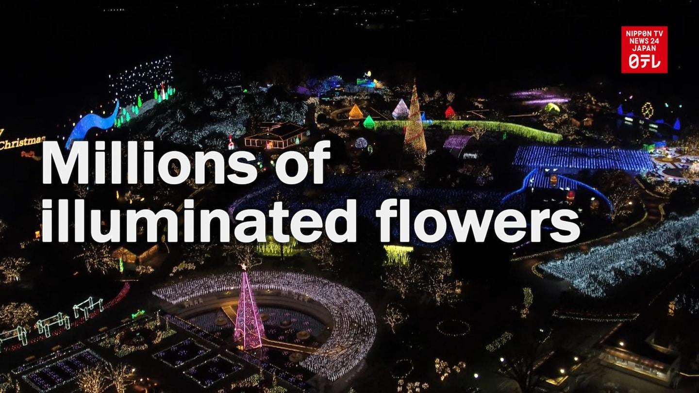 Ashikaga Flower Park Shines in Winter