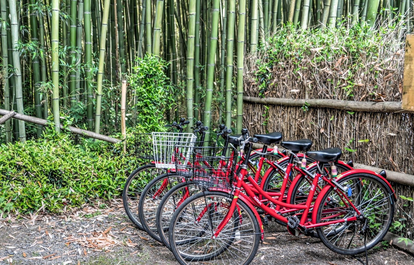 8 Bike Tours in Kyoto