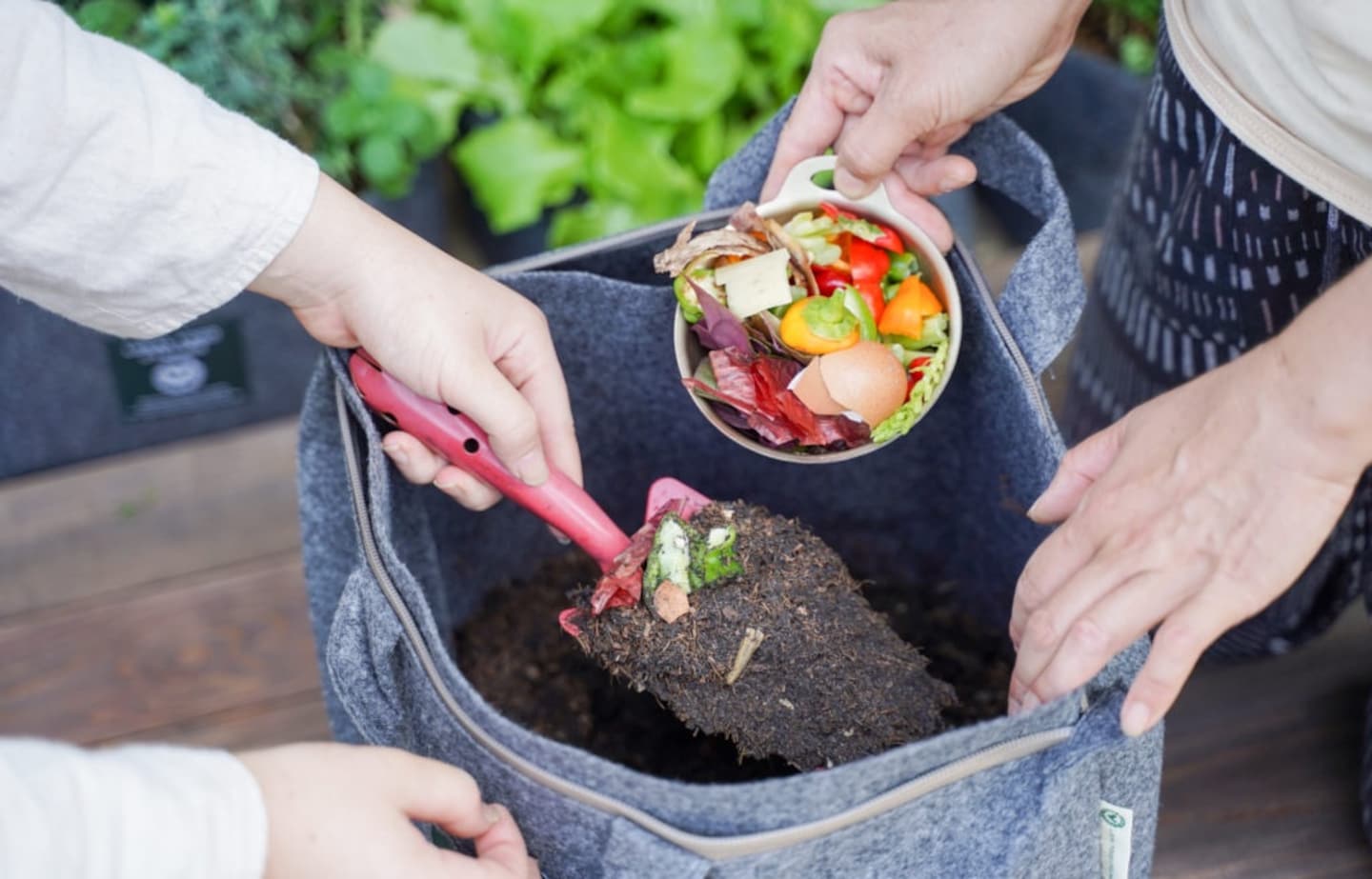 From Rubbish to Resource: Recycling Food