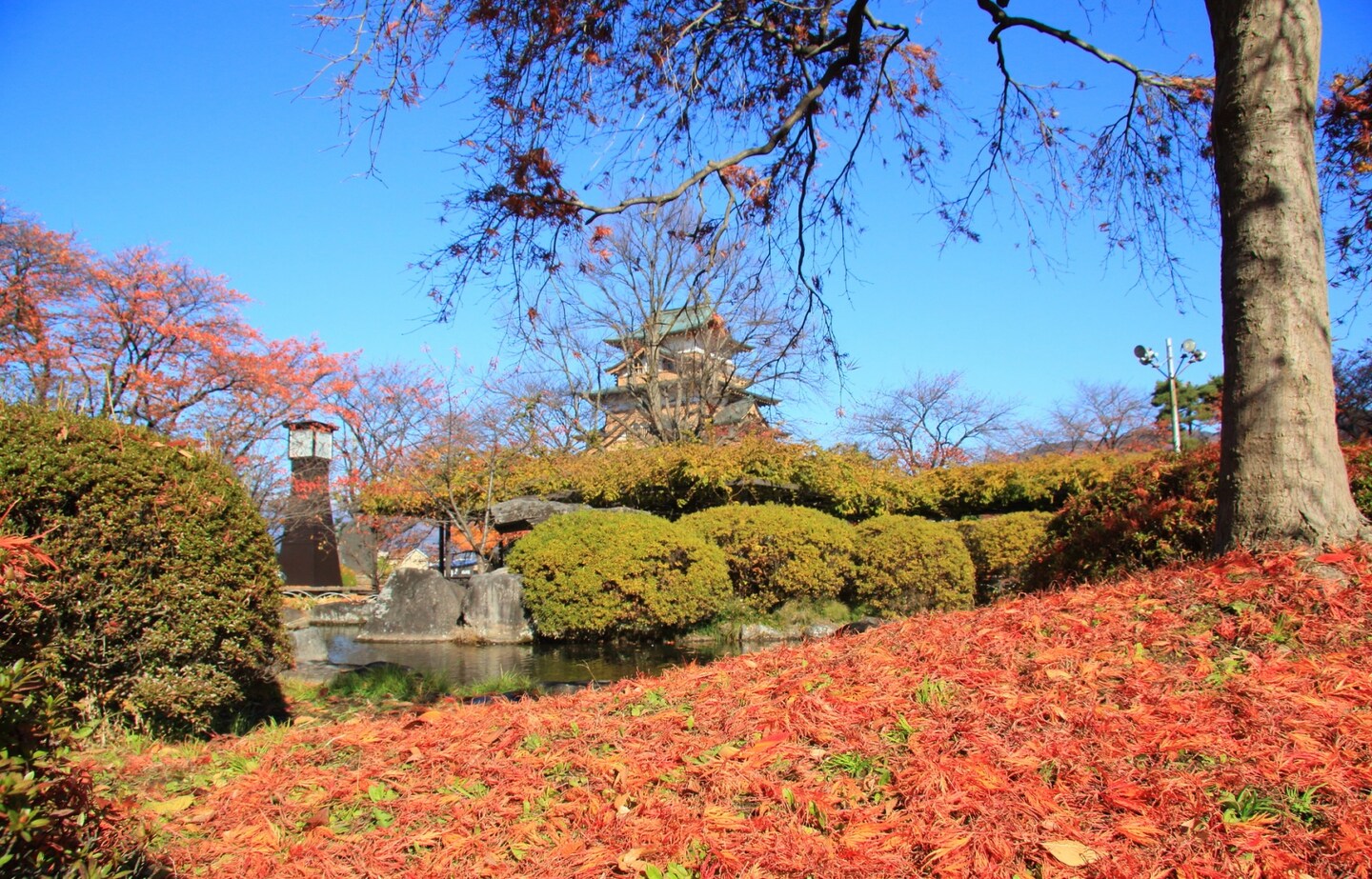 【長野自由行】諏訪古寺與古城的秋日紅葉巡禮