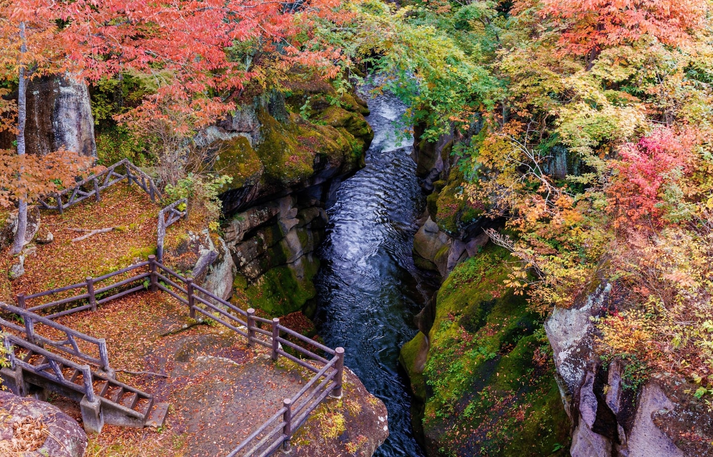 The Road Less Traveled in Tohoku