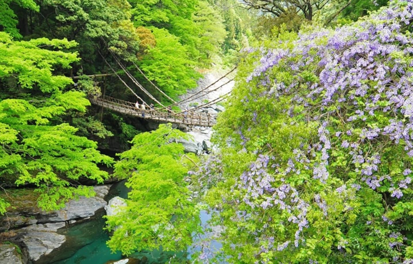 【日本德島】被遺忘的古民家！創生地方的旅宿品牌「桃源鄉 祖谷之山里」