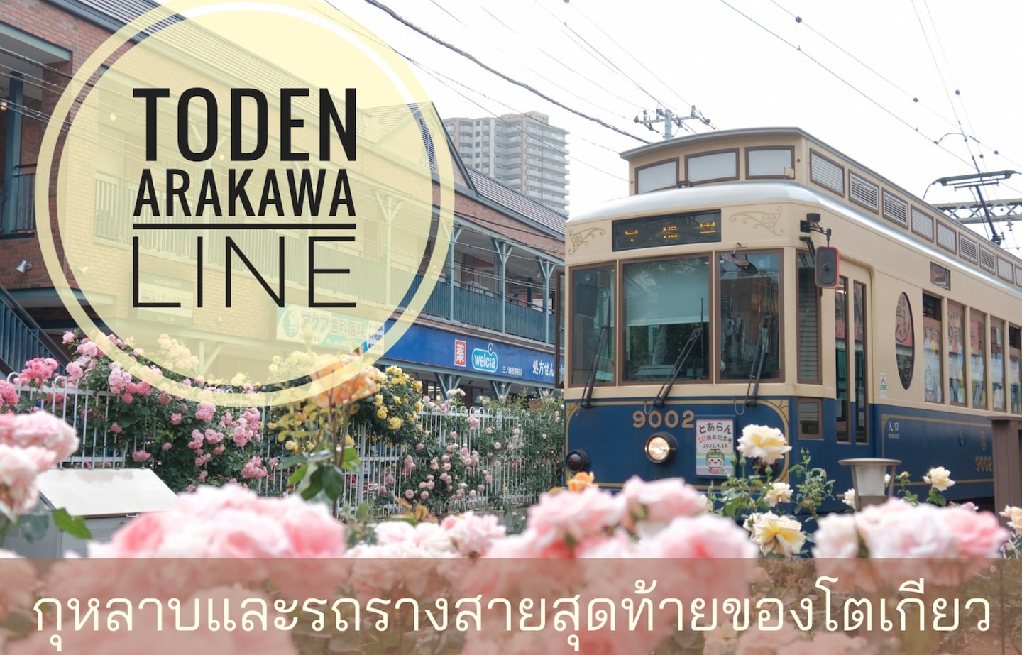 นั่งรถราง Toden Arakawa Line ชมกุหลาบ พร้อมบรรยากาศของโตเกียวแบบวินเทจ