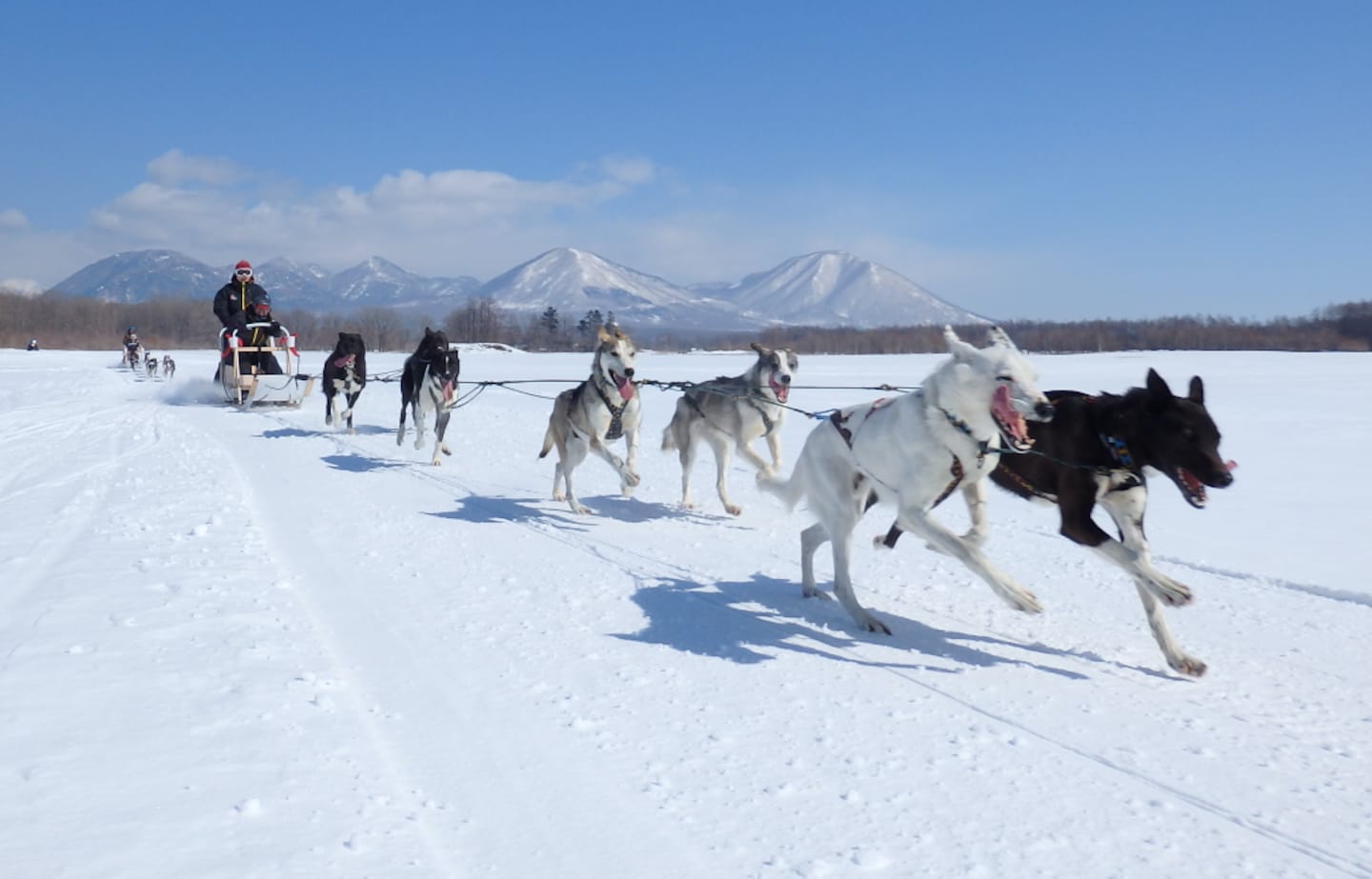 7 Wild Winter Adventures in Japan's Outdoors