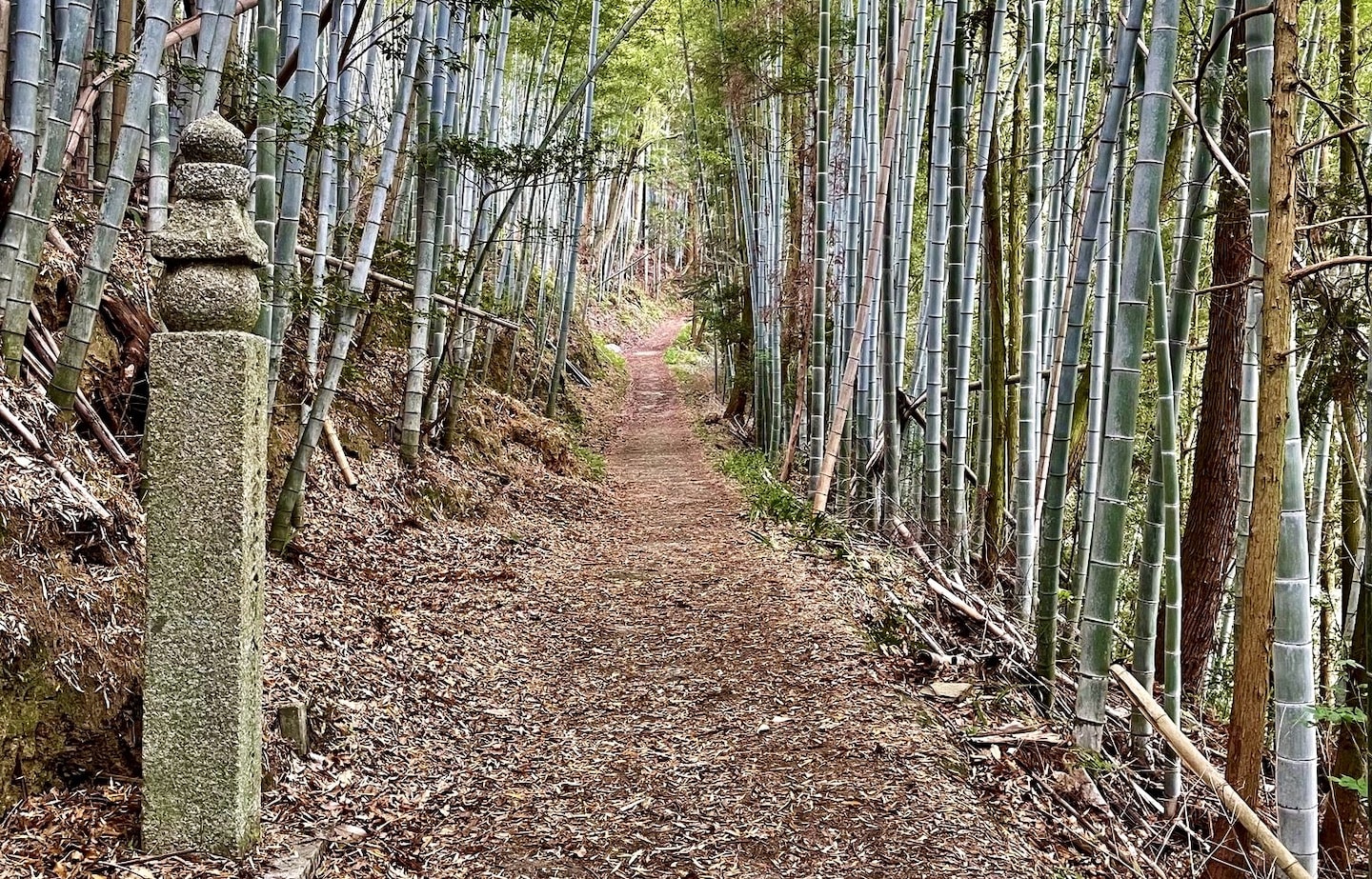 The Road to Koyasan: A One-Day Pilgrimage with Kobo Daishi