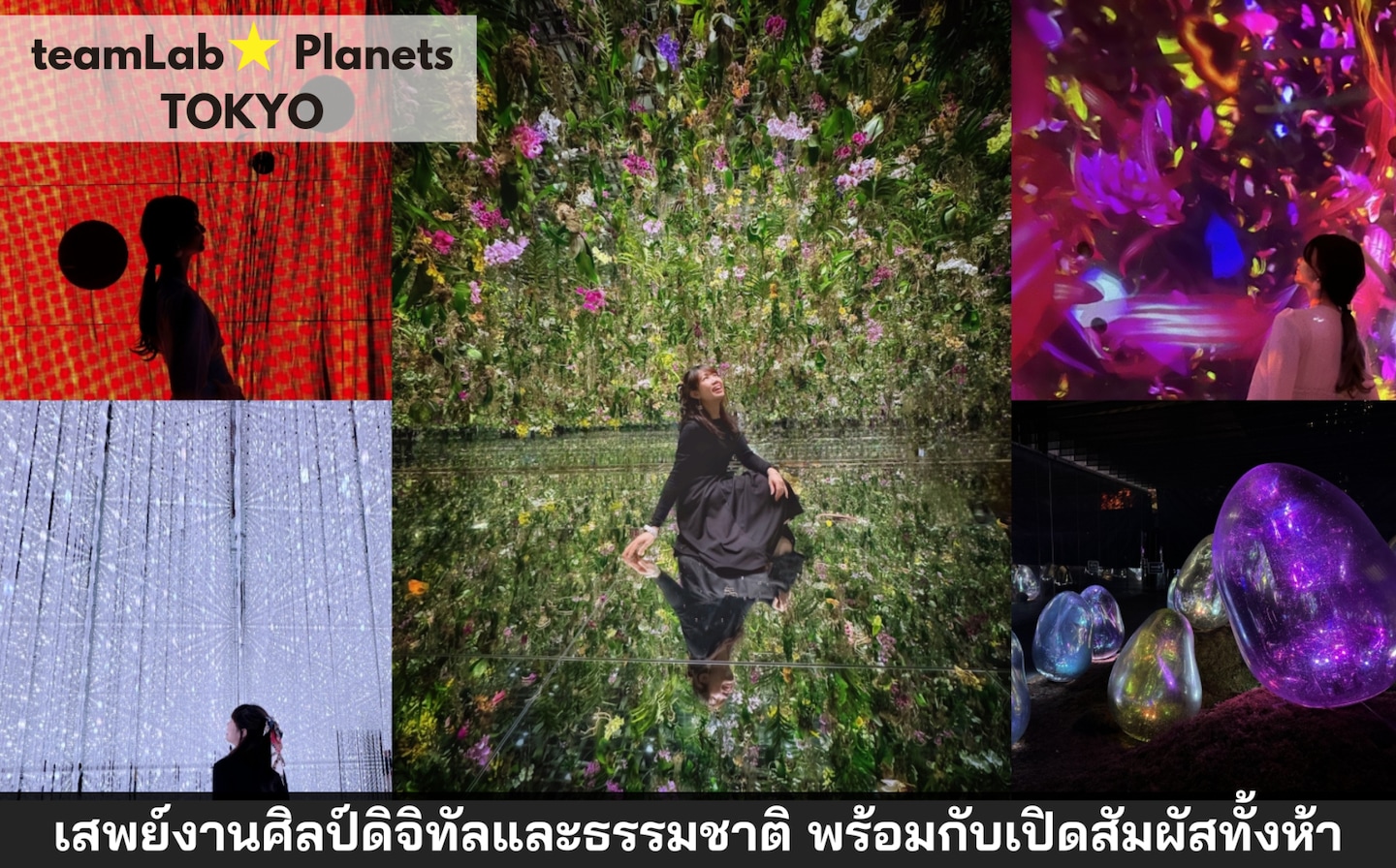 teamLab Planets พิพิธภัณฑ์ศิลปะ ชมแสงสีเสียง ถ่ายรูปสวย สนุกได้ทุกวัย