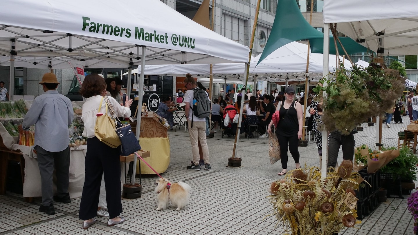 Tokyo's Coolest Farmers Market: A Sustainable Community at UN University