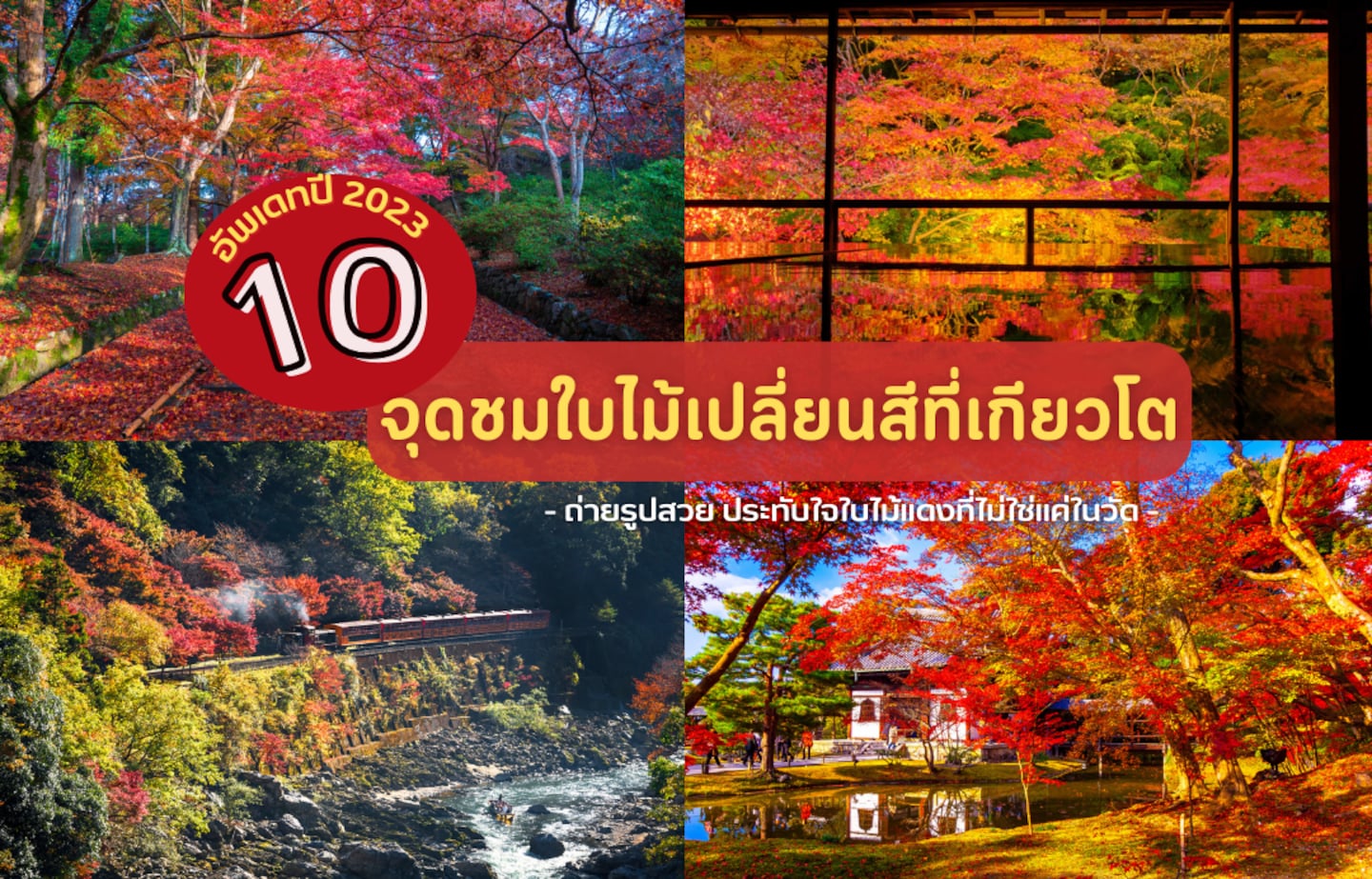 ห้ามพลาด! จุดชมใบไม้เปลี่ยนสี ถ่ายรูปสวย ในเกียวโต 10 จุด