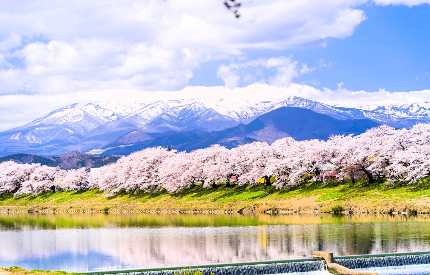 【日本東北】雪白山景映襯櫻粉 東北地區特有的賞櫻景點６選