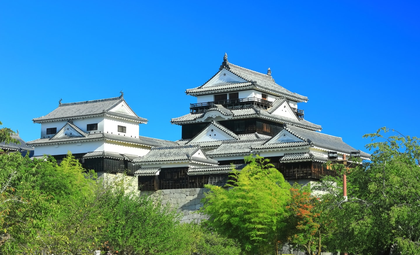 日本自由行：四国之旅开启！爱媛县松山一日游攻略