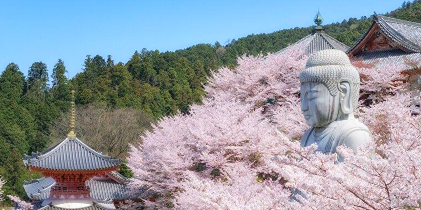 深度日本：盘点形形色色的日本大佛