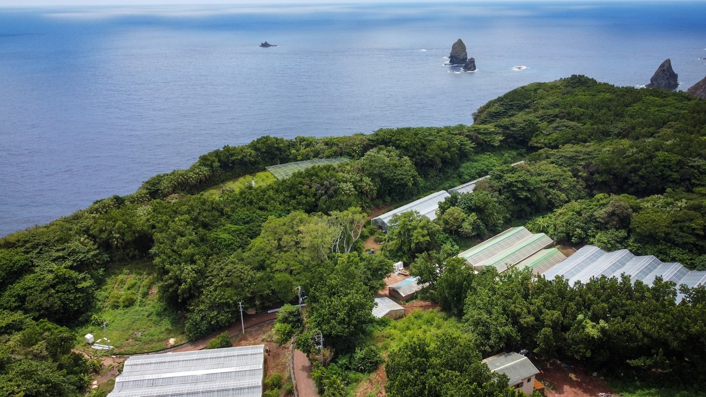 Uncharted Tokyo 3|Hahajima’s Sustainable Farm: Where Tourism Meets Conservation