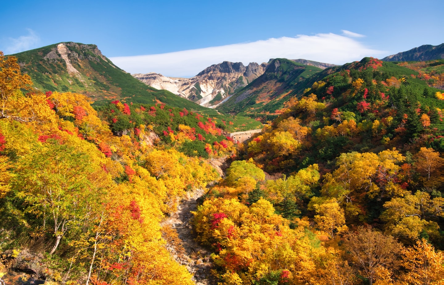 Above the Clouds: Exploring Daisetsuzan National Park