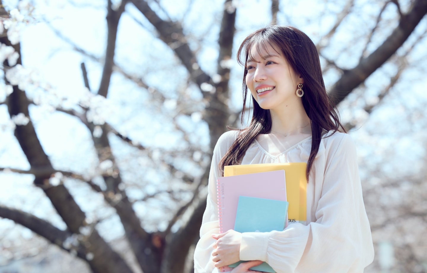 三月的眼泪，四月的樱花：揭秘日本独有的“春之历法”