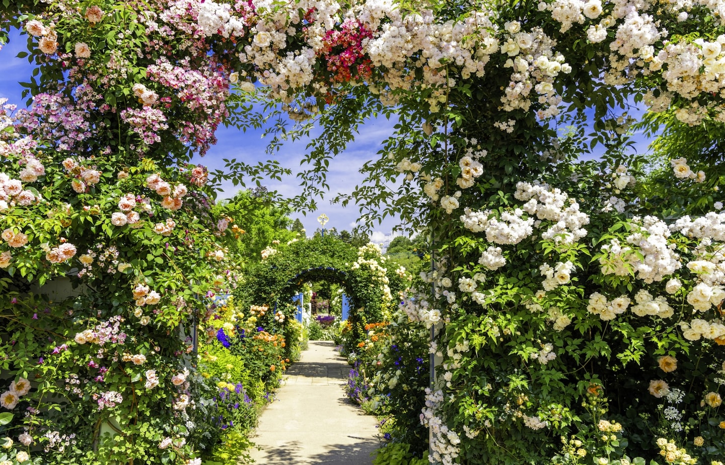 日本自由行：逃离东京人海！这6个宝藏春游地，藏着关东最治愈的春天