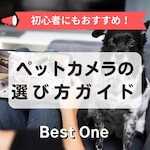 ペットカメラのおすすめ人気ランキング26選｜日本ブランドやwifi不要なモデルなどを紹介