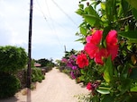 10位：沖縄の原風景に出会える、竹富島