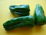 食事はよく噛んで、内臓脂肪の分解を促進する 食事はよく噛んで、内臓脂肪の分解を促進する