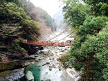 渦潮、かずら橋…観光の前に必見！徳島のおすすめスポット