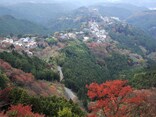 大阪・京都から日帰りOK！関西の低山ハイキングコース10選