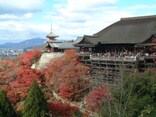 【京都もみじ回遊】世界遺産から寺社まで。名所・旧跡ガイドおすすめの「紅葉スポット」まとめ