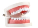 歯石除去後の違和感や痛みへの対処法