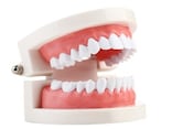 歯石除去後の歯の痛みや違和感への対処法