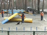 愛犬と一緒に、自然の中で遊べるドギーパーク