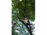 盛岡城跡公園で木登り体験