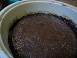 老舗味噌屋主催 会津味噌手作り教室