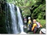 屋久島で大人気！美しい自然のなかで沢登り体験