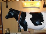 「富良野チーズ工房」で乳製品の魅力を体験！