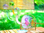 五感の涼～風情あふれる夏の知恵
