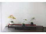 小さな盆栽の作り方【植込みから完成までを解説】