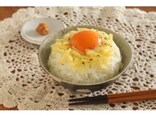 卵かけご飯のアレンジレシピ！味噌とチーズで完成する朝ごはん