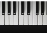 ピアノの色の秘密…鍵盤が「白黒」のワケ！